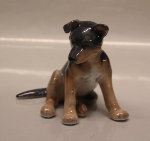 Royal Copenhagen figurine 0683 RC German Shepherd Puppy 11.5 x 15 cm New # 
1249683