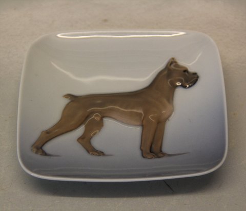 Royal Copenhagen 3690 RC Dog tray with Boxer, square 10.5 x 10.5 cm