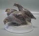 B&G Figurine
B&G 1621 Partridge 16 cm (Perdix perdix) Agerhøns