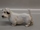 B&G figur
B&G 2011 Sealyham Terrier 10 x 17 cm