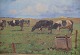 Painting Oil on Canvas G. Bundgaard Cows in the field in Golden Frame