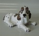 item no:
54235 item no:
54235