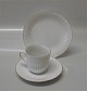 Opus  B&G porcelain China with and without gold