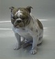 B&G figur
2083 Engelsk Bulldog siddende 15 x 16 cm