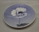Royal Copenhagen 
Art Nouveau plate with white flower 17.5 cm