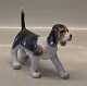 Royal Copenhagen dog figurine 0682 RC Beagle Puppy 13 x 18 cm New # 1249682 
