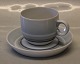 Sahara  305 Cup and saucer	B&G White base, brown and blue lines