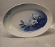 B&G porcelæn Blå Julerose 015 Stort ovalt stegefad 40.5 x 28.5  cm (315)