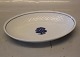 1020 Oval bowl 23.5 x 15.6 cm B&G "The OAK" - Blue Oaktree on seashell tableware 
Hotel
