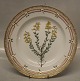20-3549 Traditional Dinner Plate: Genista germanica L. New # 624 10" / 25 cm  
(1968) Flora Danica Danish Porcelain
