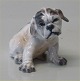 Dahl Jensen figurine 1139 English Bulldog Puppy (DJ) 7 cm
