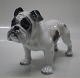 Rosenthal Engelsk Bulldog 10,5 x 17 cm